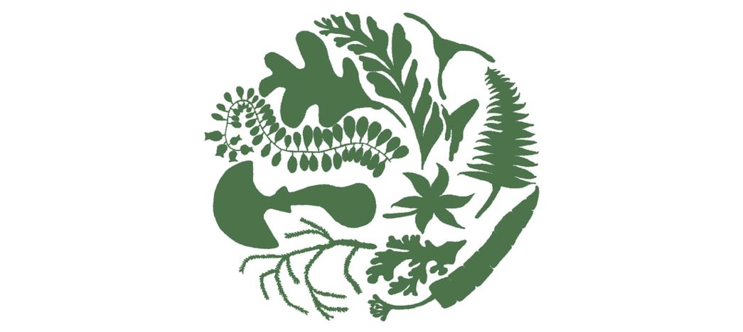 UBC Botany logo